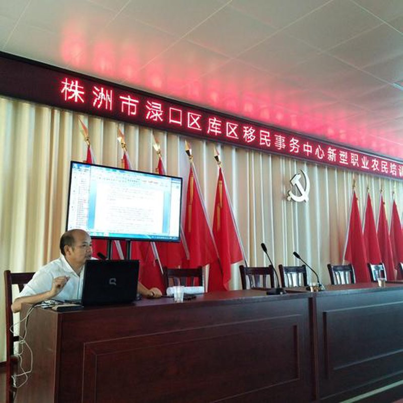 市场调查报告：洞察行业的脉搏与风云