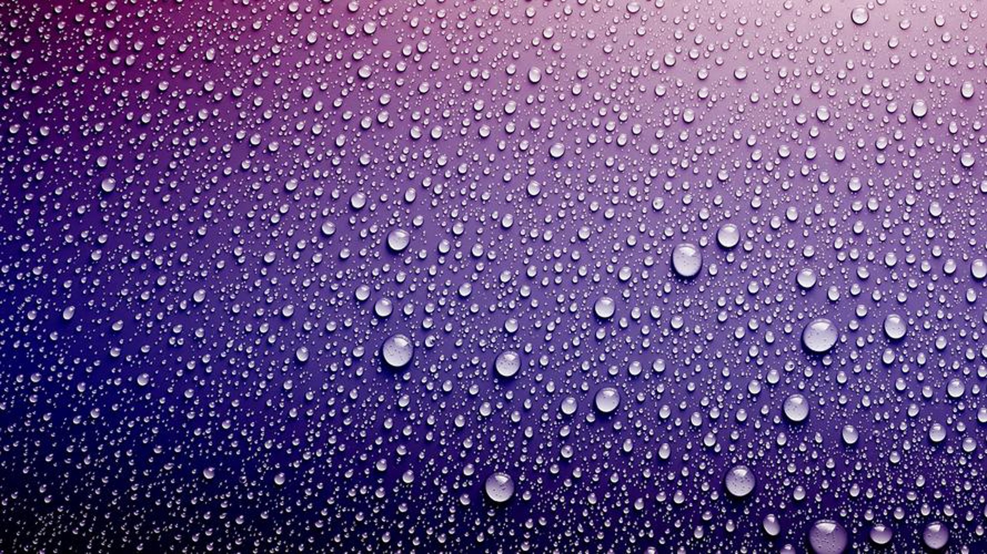 水滴咨询