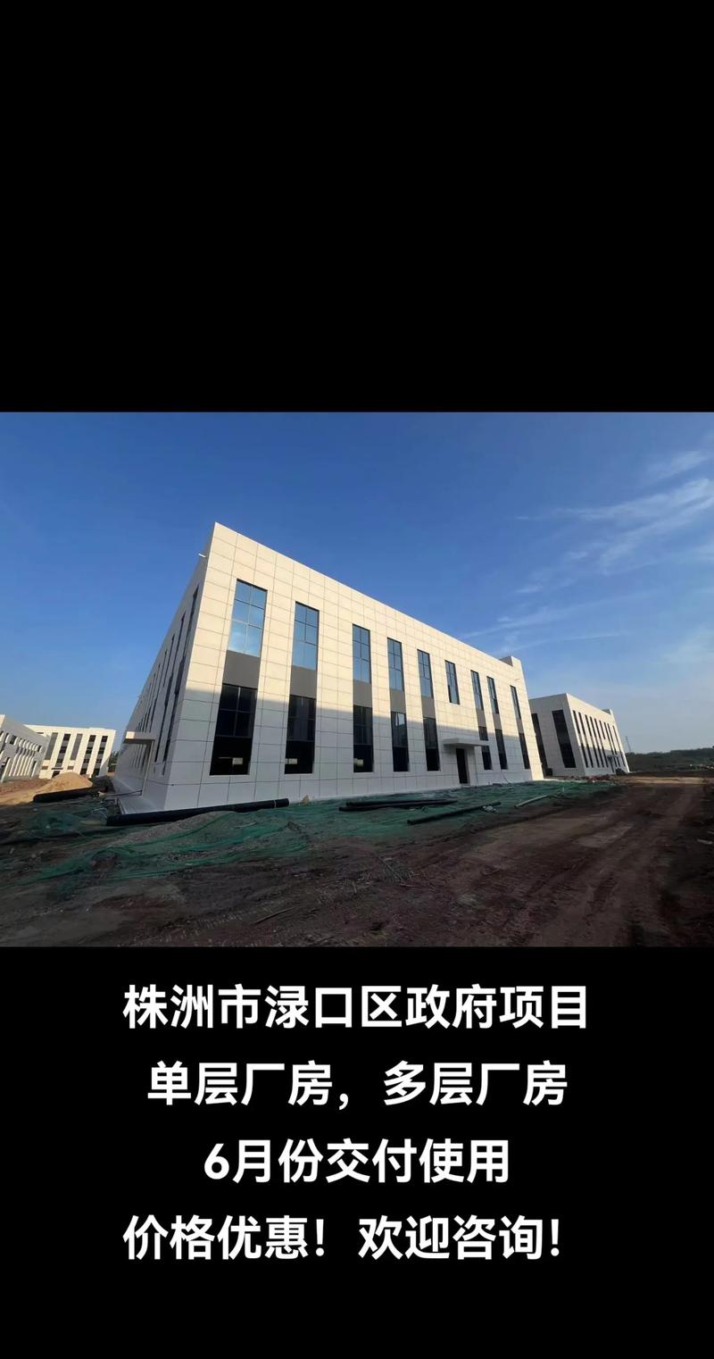 科技之光：株洲咨询服务中心引领创新潮流